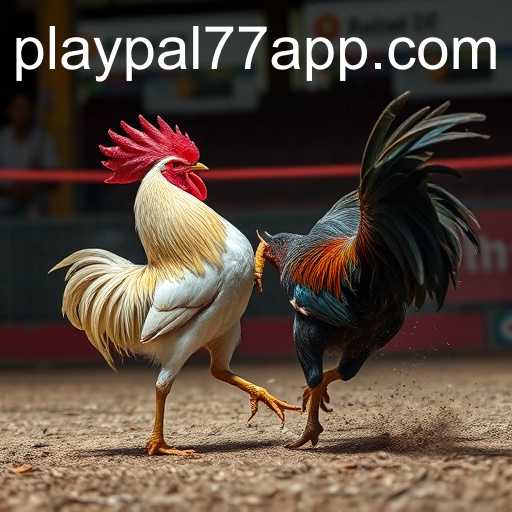 Playpal77